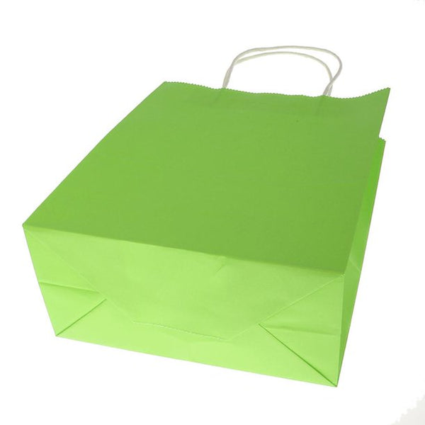 Bolsa papel con manija G3 (20x32x9cm) liquidación x 10u.