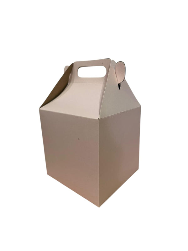 Caja feliz lisa x 25u.