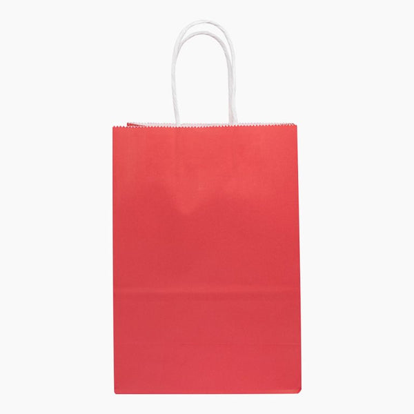 Bolsa papel con manija G3 (20x32x9cm)x 10u.